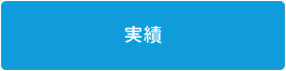 実績